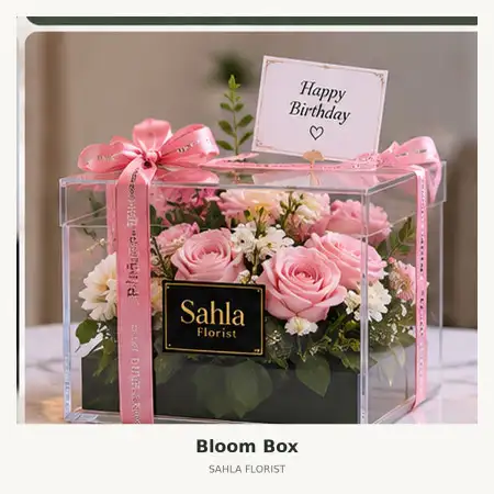 Bloom Box Pettarani